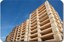 Stacks of manufactured wood pallets